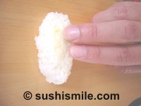 Nigiri Sushi Reisball